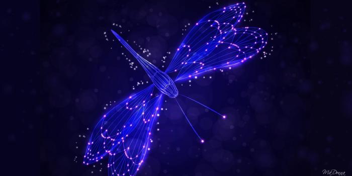 1920x1080 Purple Dragonfly Wallpapers - Top Free Purple Dragonfly