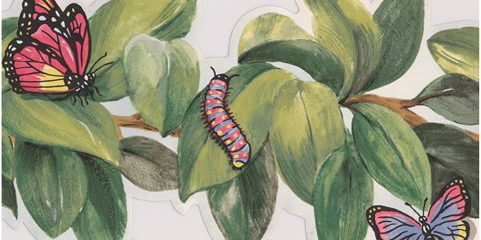 1500x1018 Bee Butterfly Ladybug Dragonfly Caterpillar on Leaves on Vine
