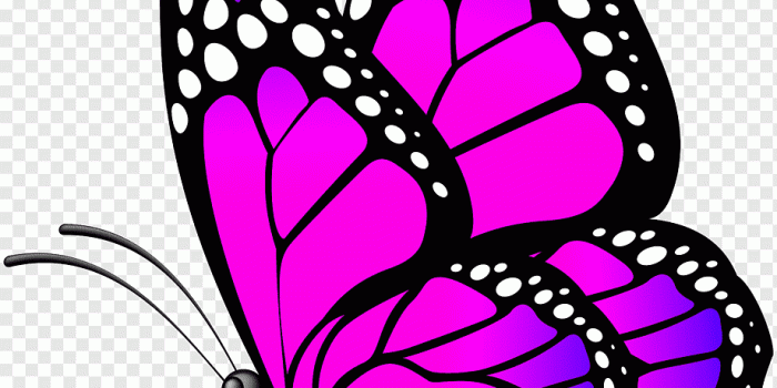920x1129 Black and purple butterfly illustration, Monarch butterfly