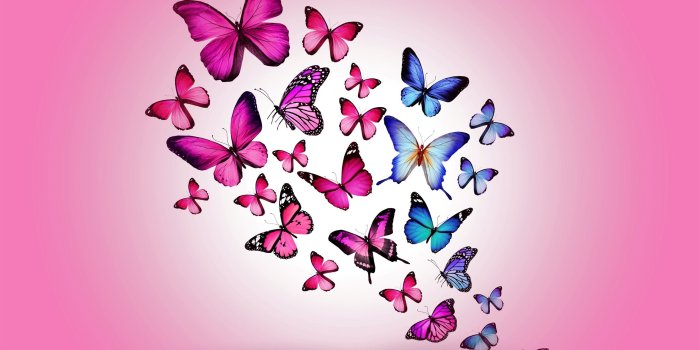 2560x1440 Wallpaper Purple and blue butterflies 3840x2160 UHD 4K Picture, Image