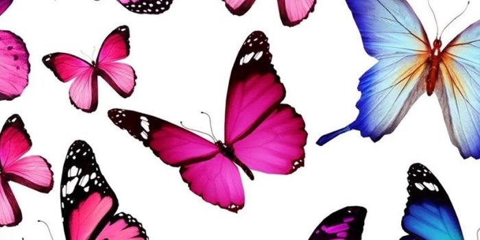 828x1792 Wallpaper Purple and blue butterflies 3840x2160 UHD 4K Picture, Image