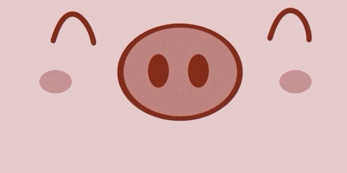744x1392 Kawaii Pig Wallpapers - Top Free Kawaii Pig Backgrounds
