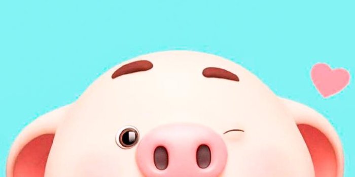 720x1280 Cute Little Pig Kawaii HD Wallpaper Screen Lock for Android - APK