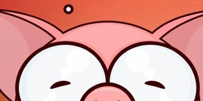 1080x1920 Cute Pig Backgrounds Samsung Galaxy