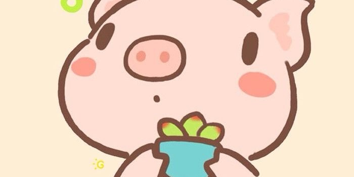 700x1244 简单 萌物 平铺 壁纸系列 @(・○・)@ | Pig wallpaper, Cute pigs