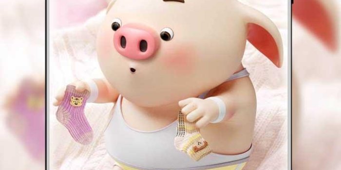 720x1280 Cute Pig Wallpaper - Piggy Wallpapers for Android - APK Download