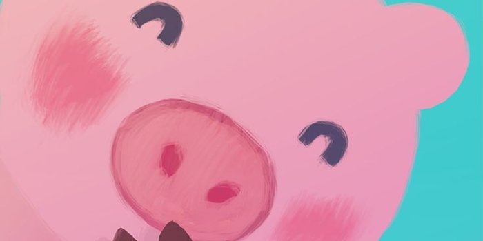 736x1377 Kawaii Pig Wallpapers - Top Free Kawaii Pig Backgrounds