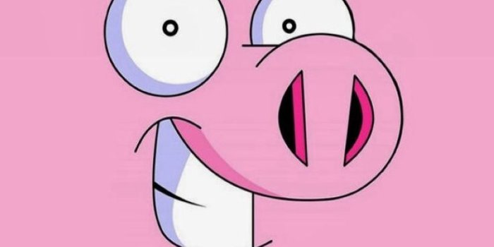 736x1161 Pig wallpaper - SF Wallpaper