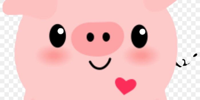 900x900 Pig Screensaver Png & Free Pig Screensaver.png Transparent Images