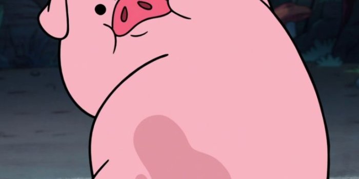768x1024 20352 cute pig wallpapers for ipad