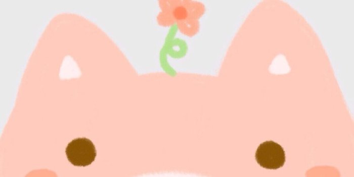 1242x2208 Home Screen Pig Wallpaper For Phone - HomeLooker