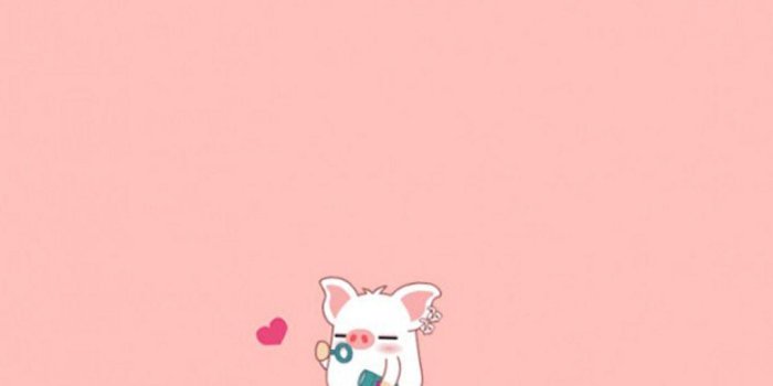 1080x1920 Cute Pig Backgrounds Samsung Galaxy