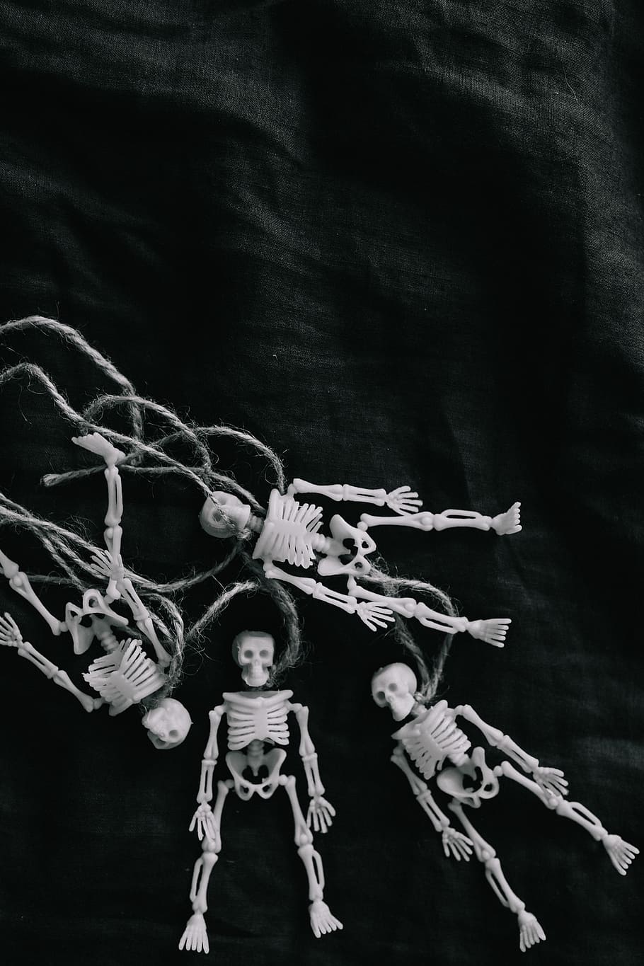 910x1365 HD wallpaper: Halloween - Human skeleton miniatures, toy, skull