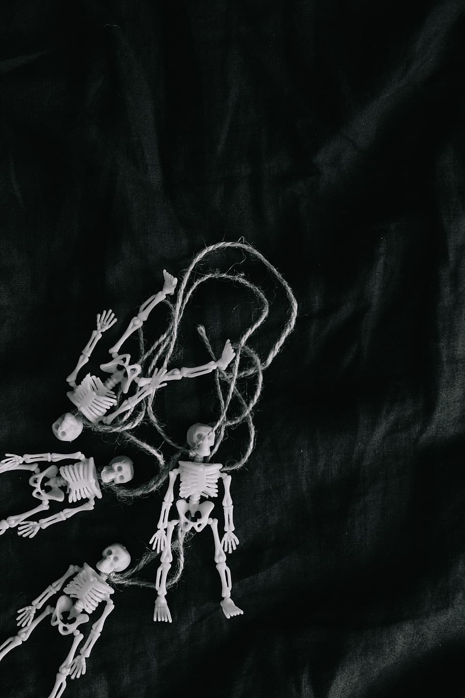 910x1365 HD wallpaper: Halloween - Human skeleton miniatures, toy, skull