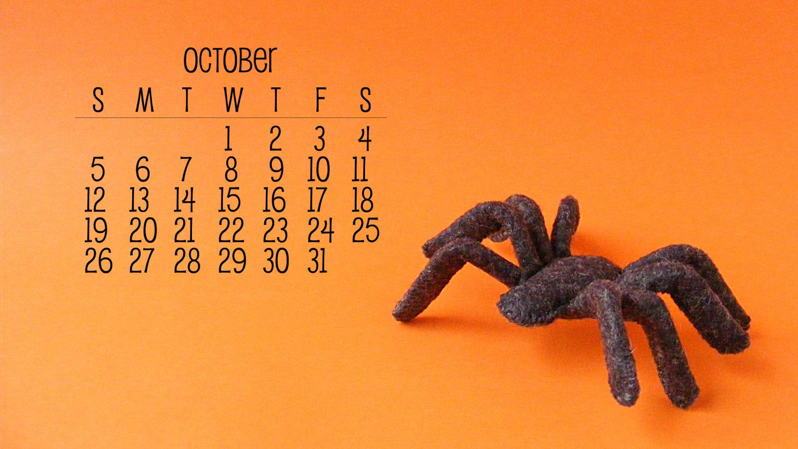2560x1440 Free Wallpaper for October - a Spooky Felt Spider | Shiny Happy World