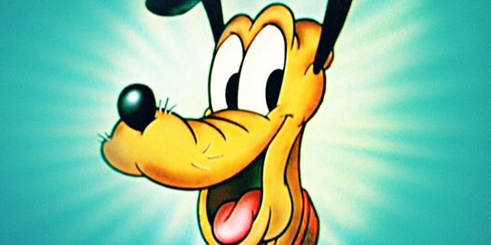 750x1334 Pluto The Pup Disney Cartoon Character iPhone 6 Wallpaper HD