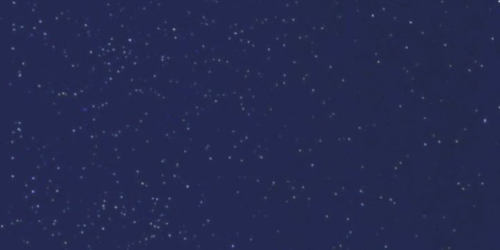 720x1280 Iphone Wallpaper Disney Characters- The Lion King Background