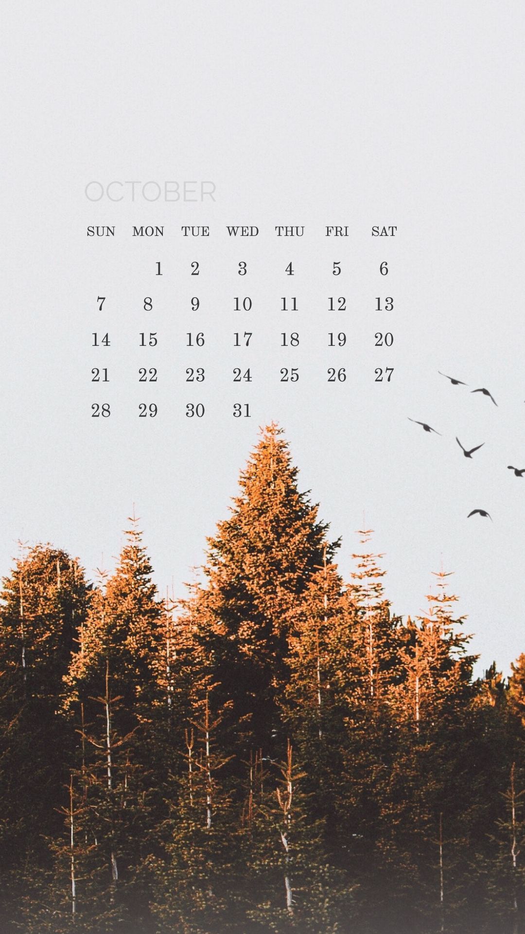 1080x1920 October 2018 calendar wallpapers for your iPhone and Android