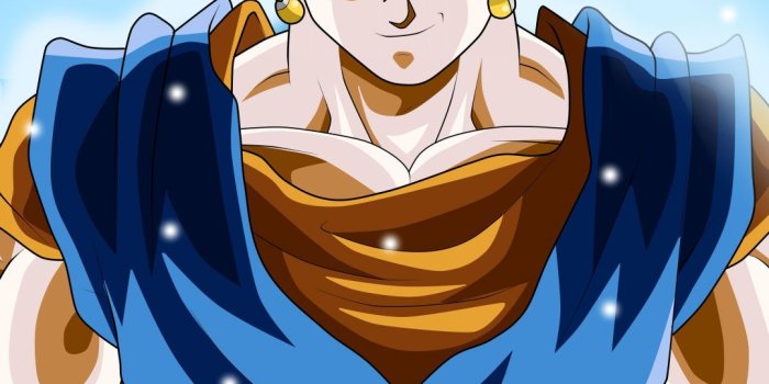 1080x1920 Vegetto, Super Saiyan, dragon ball super, anime, 1080x1920