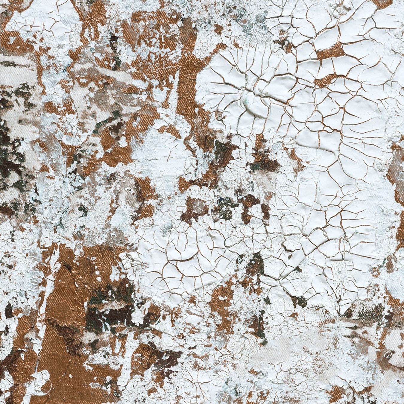 1350x1350 Safari Wallpaper - Bronze by FEATHR - Fy