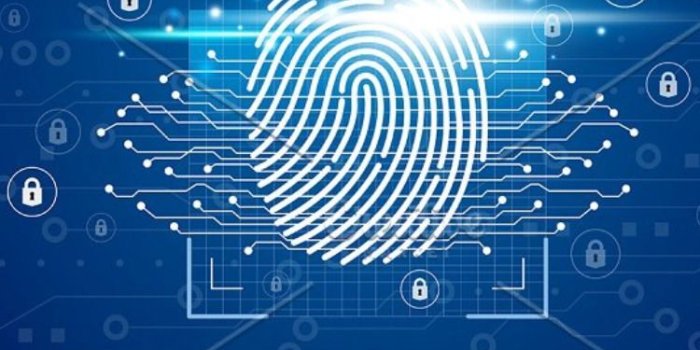 750x1125 Digital fingerprint scanner | Technology wallpaper, Finger print