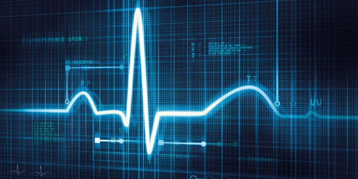 1024x768 Xeltis' cardiovascular solutions whet investors' appetites