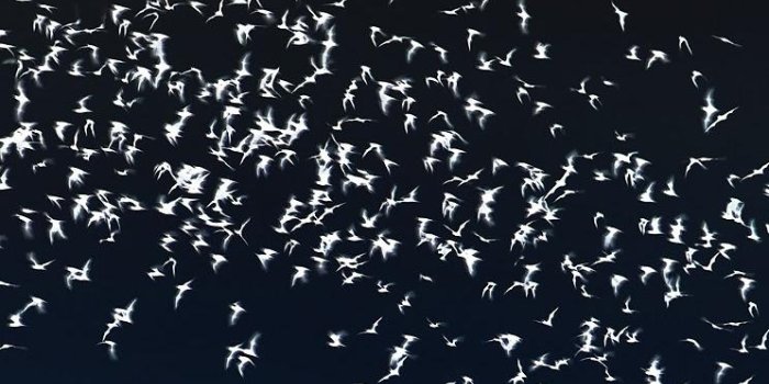 744x1392 Austin iPhone Wallpapers