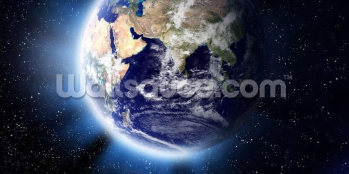 1000x1381 Earth Light Wall Mural | Wallsauce US
