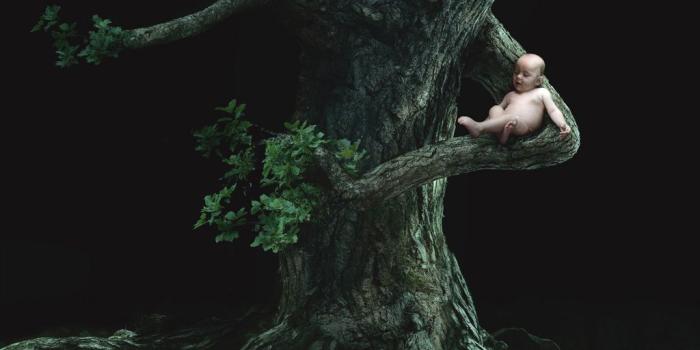 1024x768 Free Mother Earth Picture at Cool » Monodomo