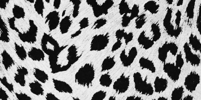 768x1280 Leopard Print Wallpapers Hd Wallpapers - Snow Leopard Skin Pattern