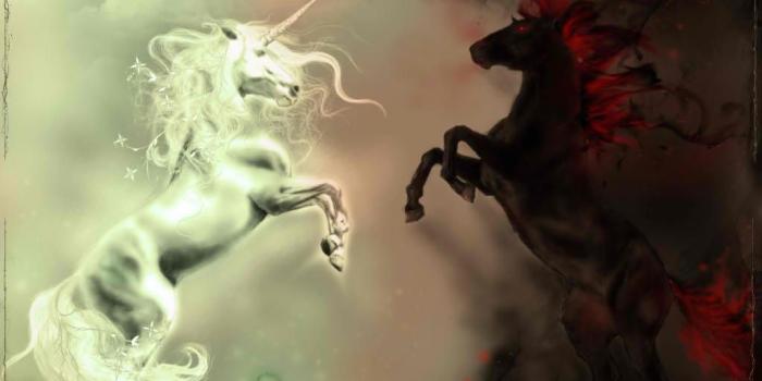 1024x819 WHITE AND BLACK UNICORN WALLPAPER - (#69474) - HD Wallpapers