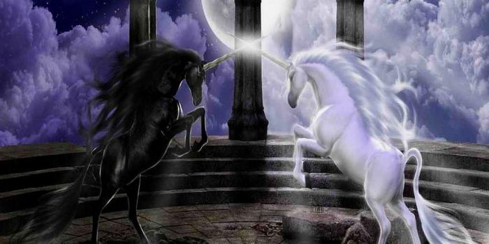 1024x768 Black Unicorn Wallpapers - Top Free Black Unicorn Backgrounds