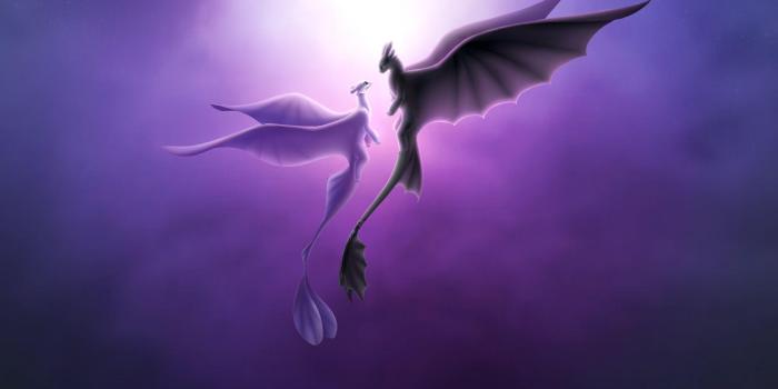 2400x1650 Toothless And Light Fury Wallpapers