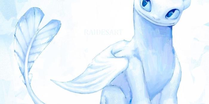 1000x1000 Light Fury Dragon Wallpapers - Top Free Light Fury Dragon