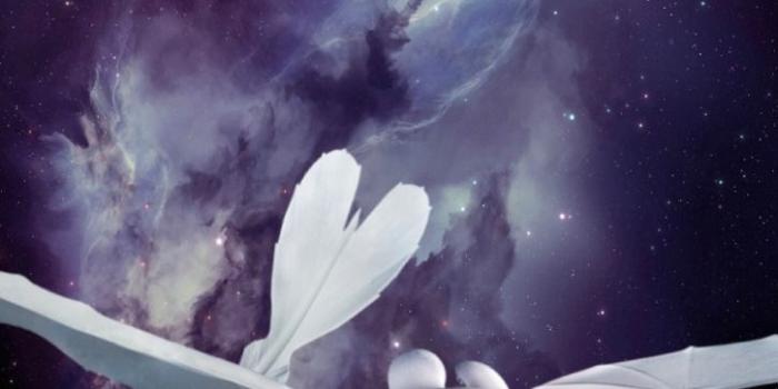 725x1280 Light Fury Appreciation — Another space Light Fury wallpaper