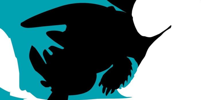 1080x1920 Night Fury and Light Fury wallpaper | How to train dragon, How