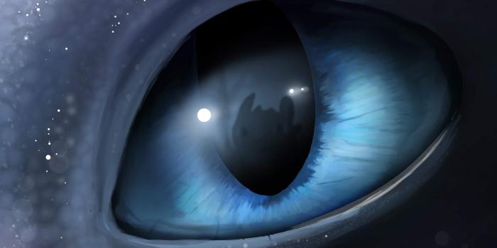 2048x1280 Light Fury Cloudy Eyes Wallpaper