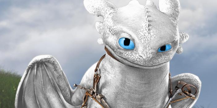 1920x1080 Toothless And Light Fury Wallpapers