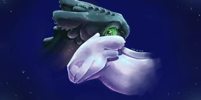 1368x855 Toothless And Light Fury Wallpapers