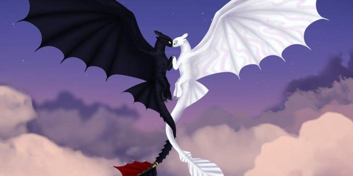 1280x1280 Toothless And Light Fury Wallpapers