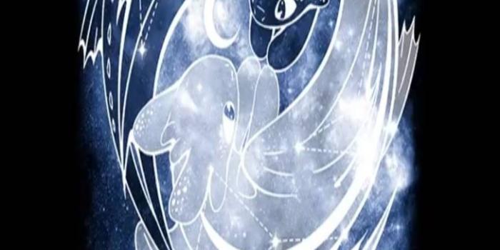 728x1280 Night and Light Fury wallpaper by Zpurplerose24 - 32 - Free on ZEDGE™