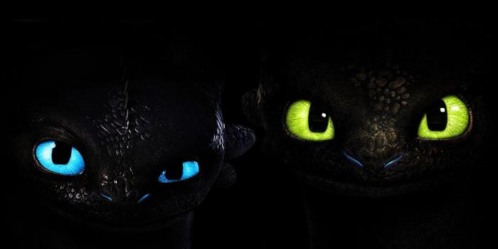 1920x1080 Toothless and Light Fury Dark Wallpaper 43143 - Baltana
