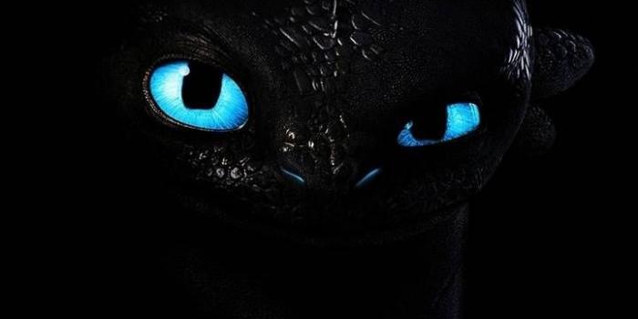 720x1280 Night Fury Wallpapers - Top Free Night Fury Backgrounds