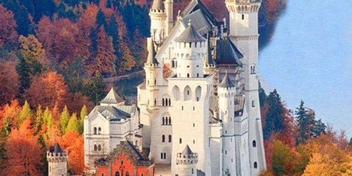 910x1365 Neuschwanstein Castle Germany Autumn - Neuschwanstein Castle