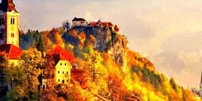 1080x1920 65+ Seasons Wallpapers on WallpaperPlay