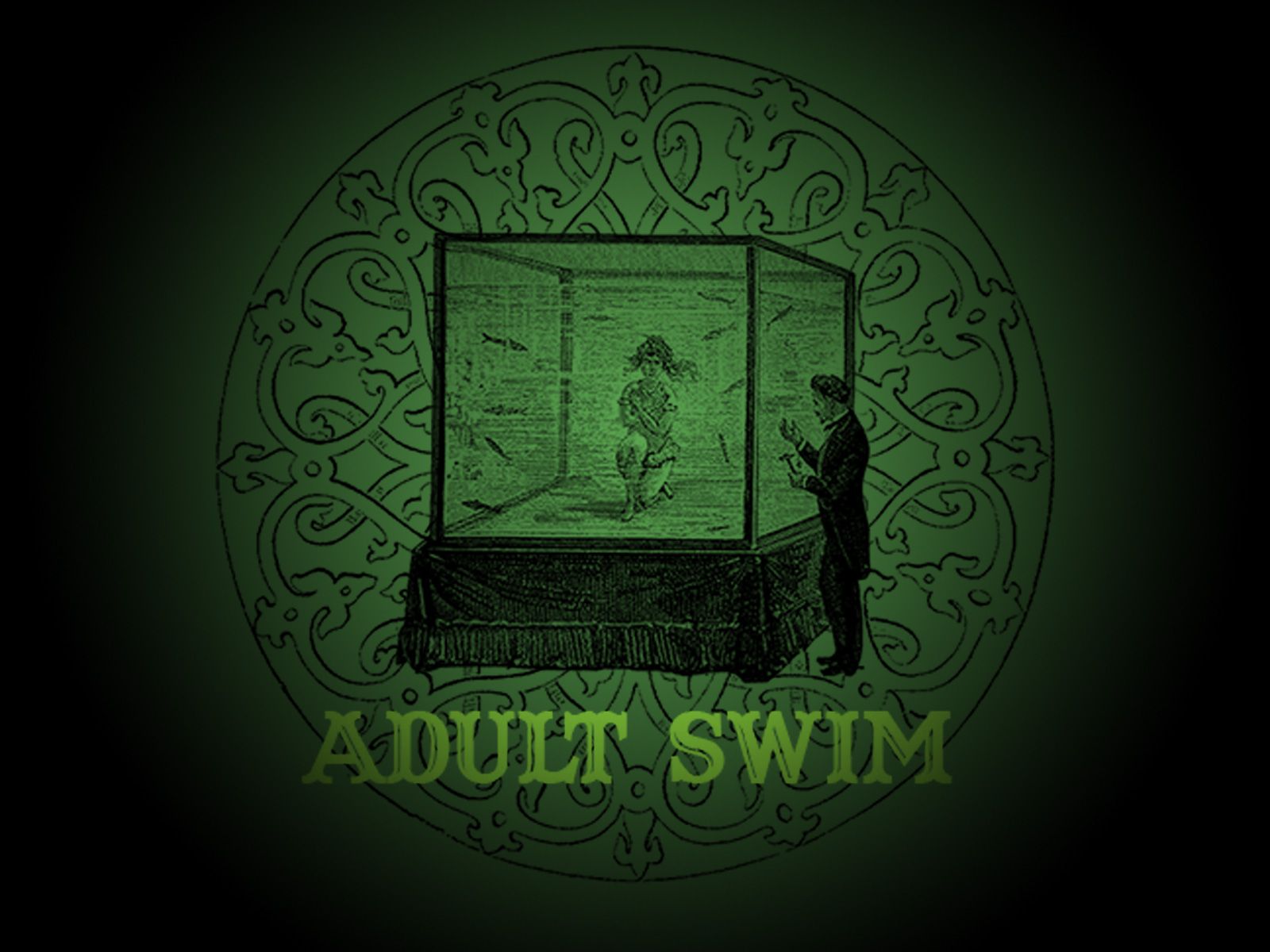 1600x1200 48+] Adult Swim Wallpapers on WallpaperSafari