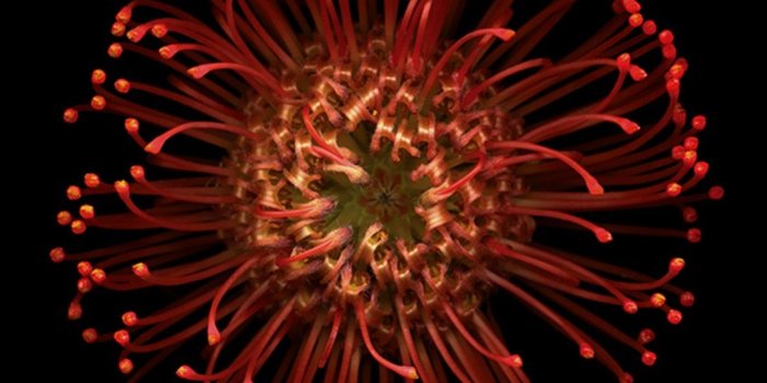 1080x1920 Iphone 6 Screen Lock Wallpaper With High-resolution - Default