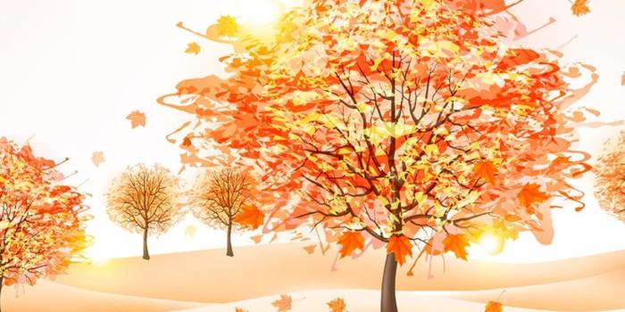 1280x1024 View, Flowers, Green, Cute Desktop Images, Mac Wallpaper, Amazing