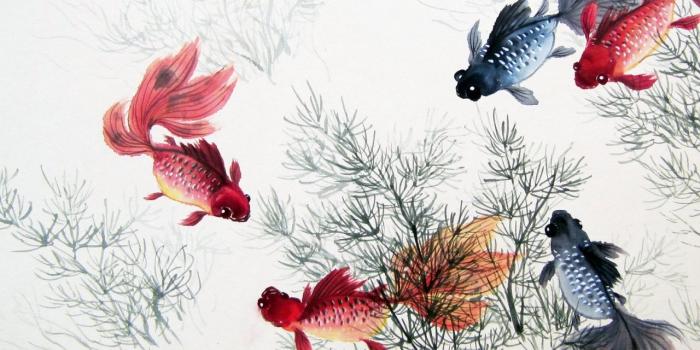 1280x1024 1280x1024 Cute Chinese Fishes & Plants desktop PC and Mac wallpaper