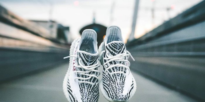 910x1365 HD wallpaper: Yeezy drop, person dropping pair of zebra Adidas